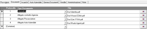 gestione agenzia telefonia