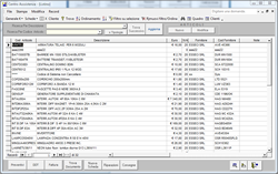 software assistenza